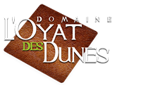 Domaine de L’Oyat des Dunes